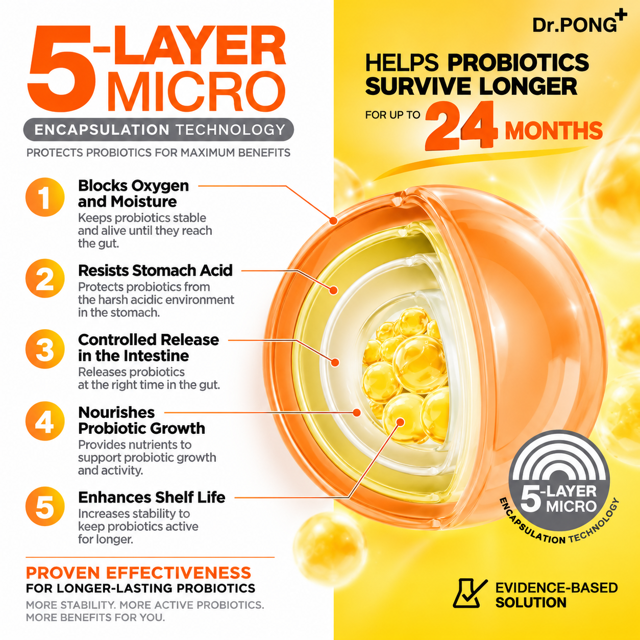 DR.PONG IMS10 PROBIOTIC - Image 8