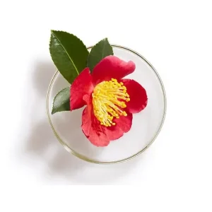 Alternative view of Shiseido Tsubaki Premium Moist & Repair Shampoo