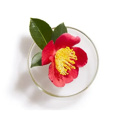 Shiseido Tsubaki Premium Moist & Repair Shampoo - Image 2